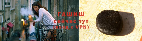 СК Инта