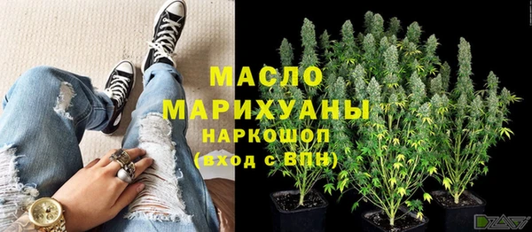 СК Инта