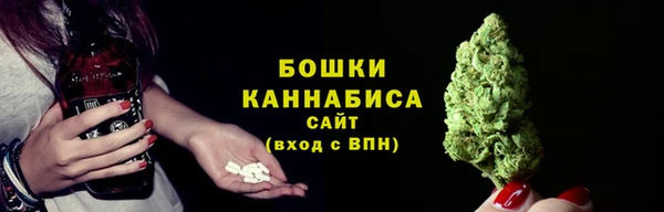 СК Инта